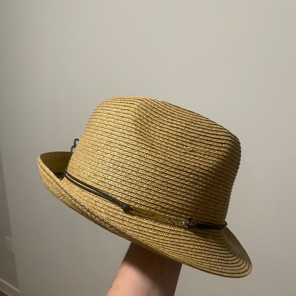 Classic fedora